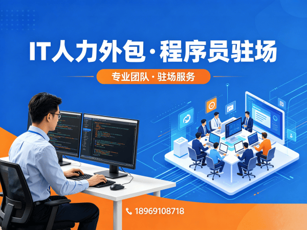 苏州Go开发程序员或是工程师人力外包服务优势解析