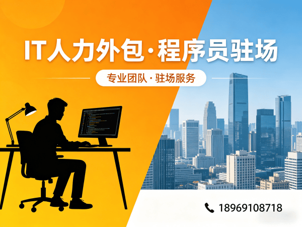 南京IT人力外包解决方案:算法工程师程序员驻场开发高效解决企业技术人才难题