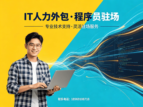 合肥IT人力外包解决方案：大数据开发程序员驻场开发的高效选择
