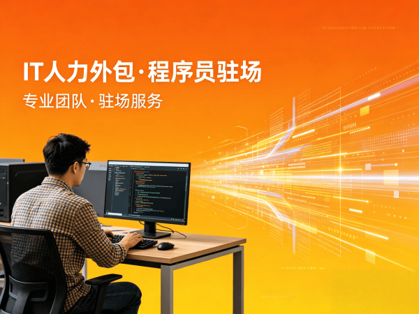 泉州IT人力外包解决方案：项目经理程序员驻场开发的高效选择